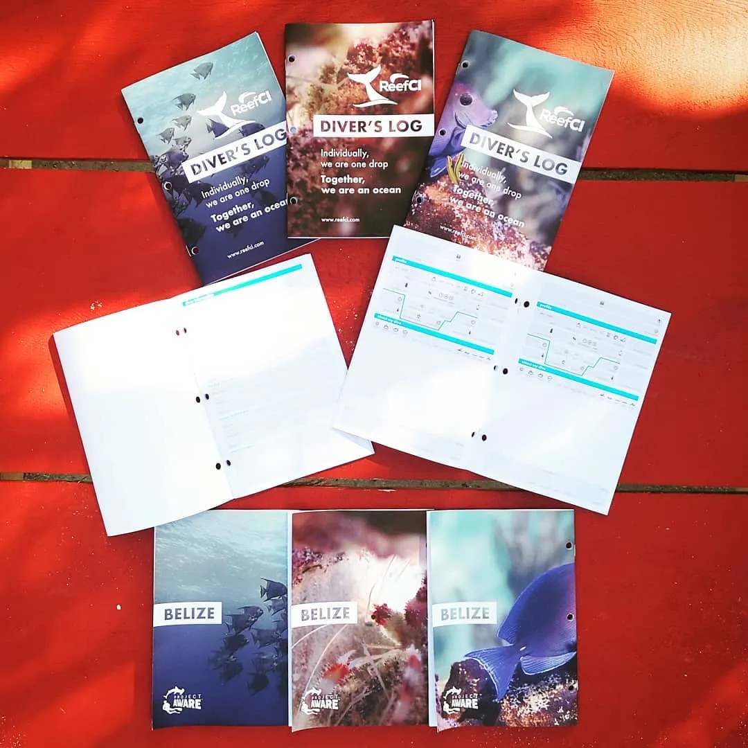 Published work by Selina Cheng