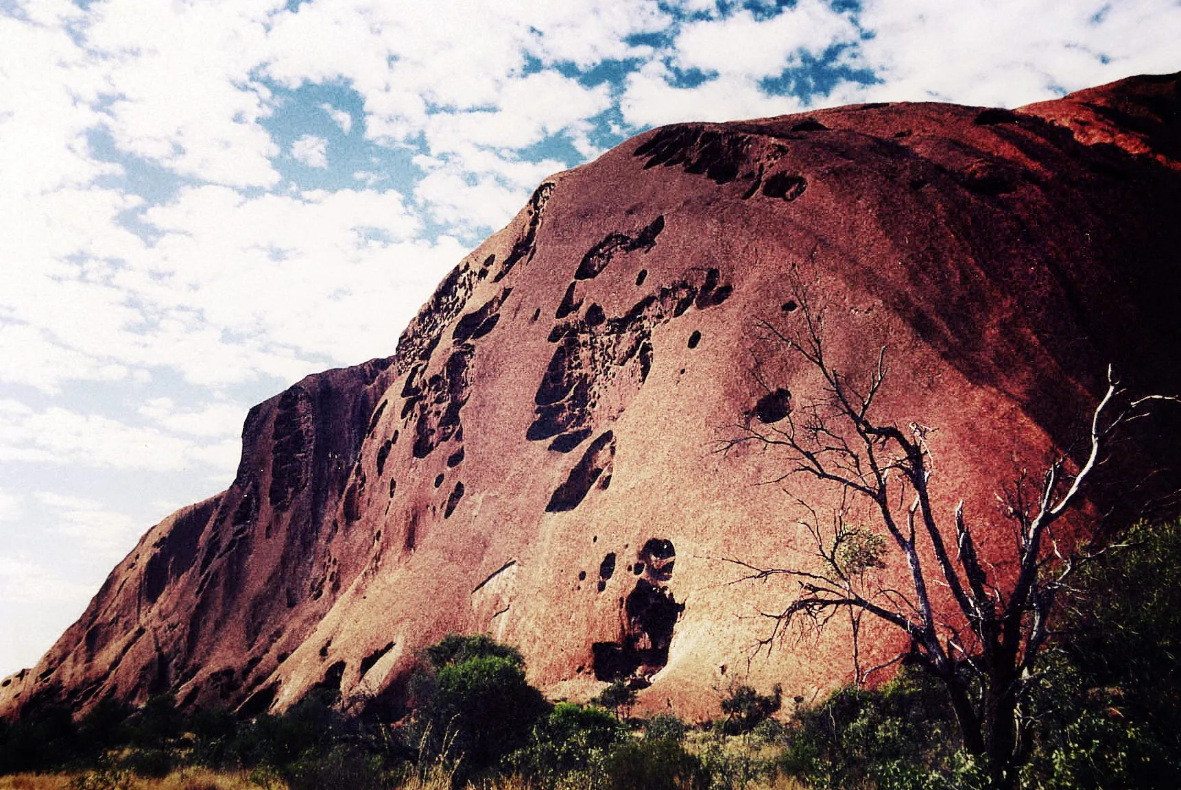 Nature photography by Selina Cheng, ayrsrock