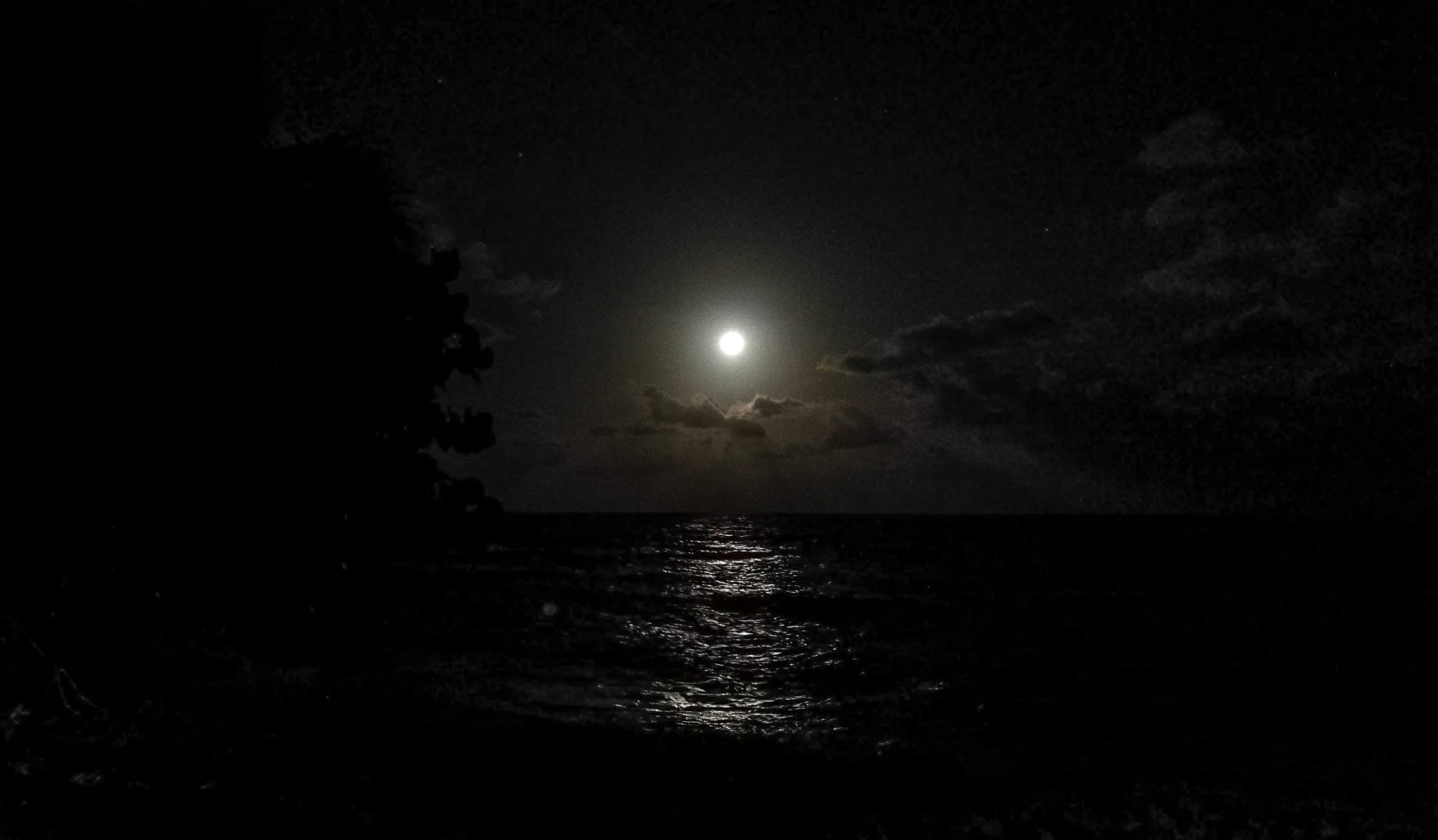 Nature photography by Selina Cheng, fullmoon