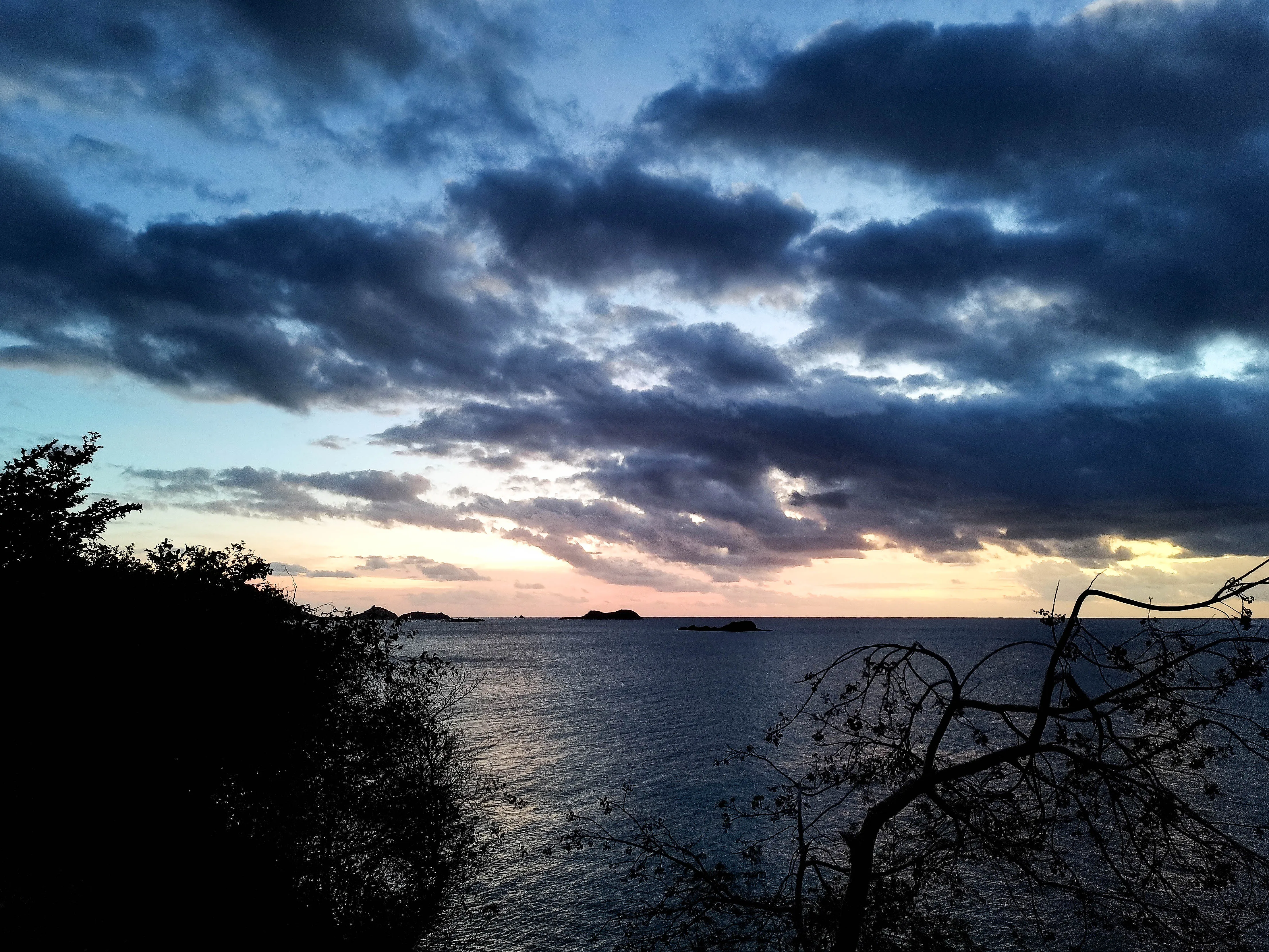 Nature photography by Selina Cheng, jack a dan