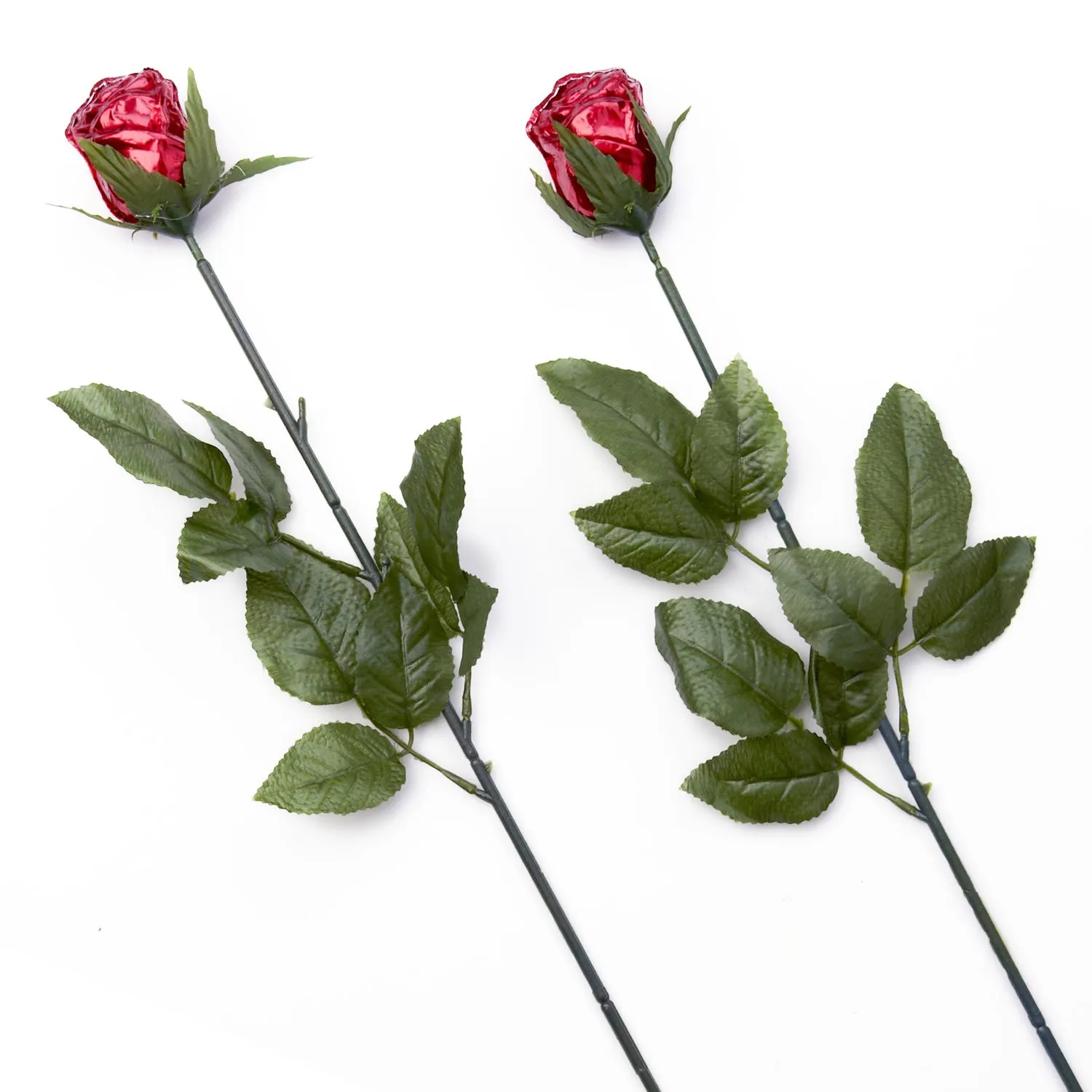 Still Life photography by Selina Cheng, roses 1